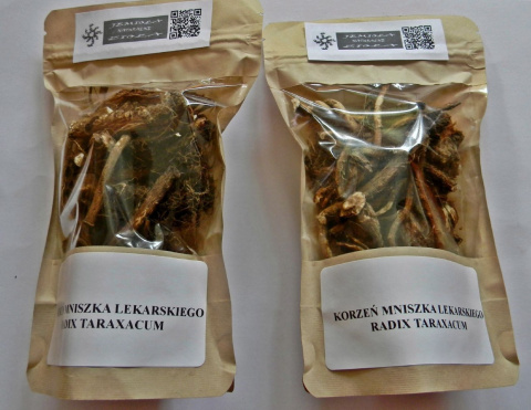 Suszony korzeń mniszka lekarskiego 100% Suszony korzeń mniszka lekarskiego 100%